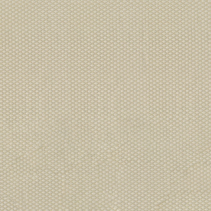 NICHOLASJOHN INC NJ-FORA Ecru Solid,Traditional   Fabric - NJ25-1268
