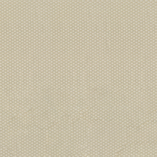 NICHOLASJOHN INC NJ-FORA Ecru Solid,Traditional   Fabric - NJ25-1268