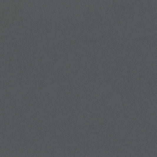 NICHOLASJOHN INC NJ-SENTRY Slate Solid,Texture   Fabric - NJ25-603