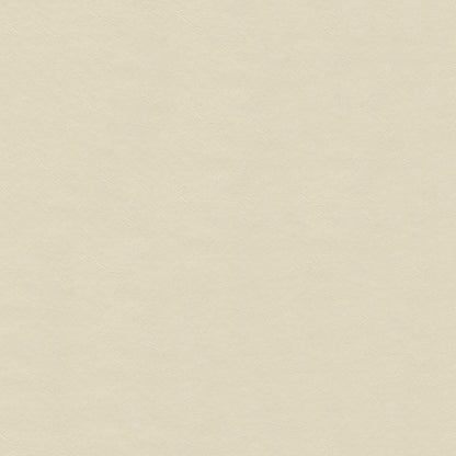 NICHOLASJOHN INC NJ-LUNN White Solid   Fabric - NJ25-2020