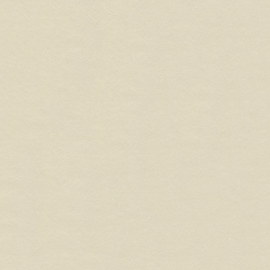 NICHOLASJOHN INC NJ-LUNN White Solid   Fabric - NJ25-2020