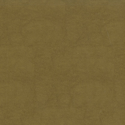 NICHOLASJOHN INC NJ-SENTRY Tan Solid,Texture   Fabric - NJ25-593