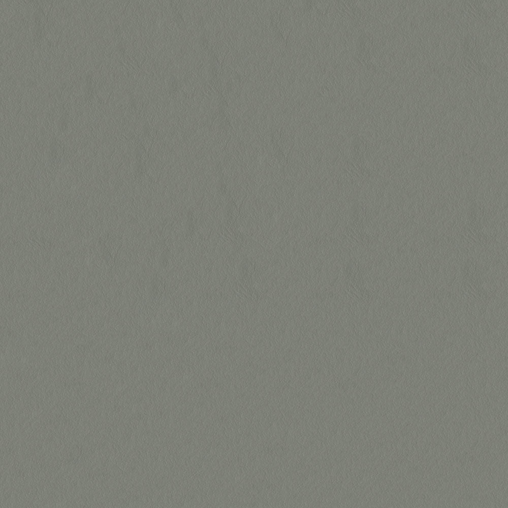 NICHOLASJOHN INC NJ-CAPO Gray Solid   Fabric - NJ25-480