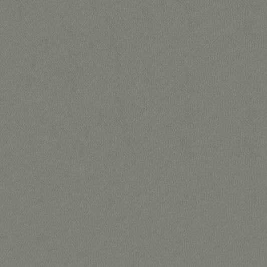 NICHOLASJOHN INC NJ-CAPO Gray Solid   Fabric - NJ25-480