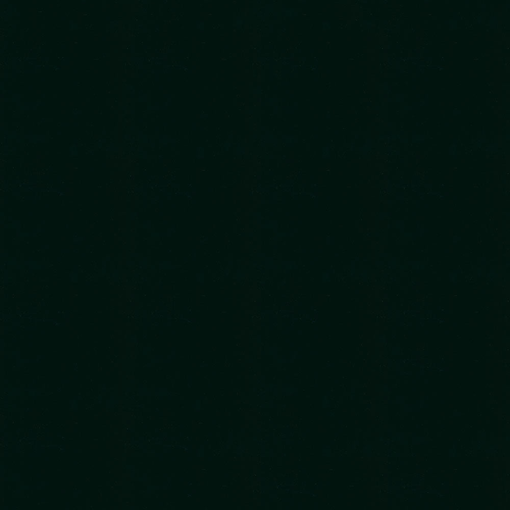 NICHOLASJOHN INC NJ-ENGLIS Black Solid,Patent   Fabric - NJ25-1160