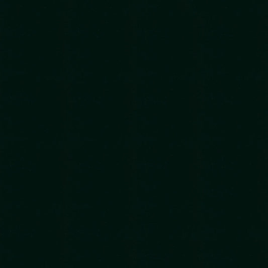 NICHOLASJOHN INC NJ-ENGLIS Black Solid,Patent   Fabric - NJ25-1160