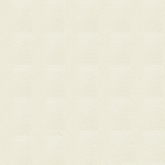 NICHOLASJOHN INC NJ-RADE White Solid   Fabric - NJ25-3441