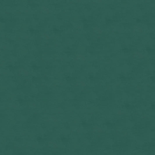 NICHOLASJOHN INC NJ-LOUIE Green Solid   Fabric - NJ25-174