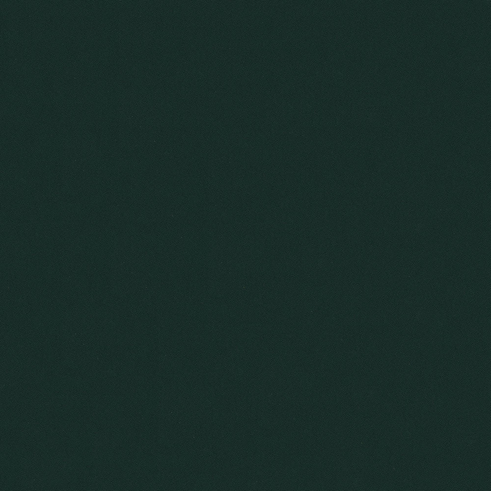 NICHOLASJOHN INC NJ-OASIS Green Solid   Fabric - NJ25-2455