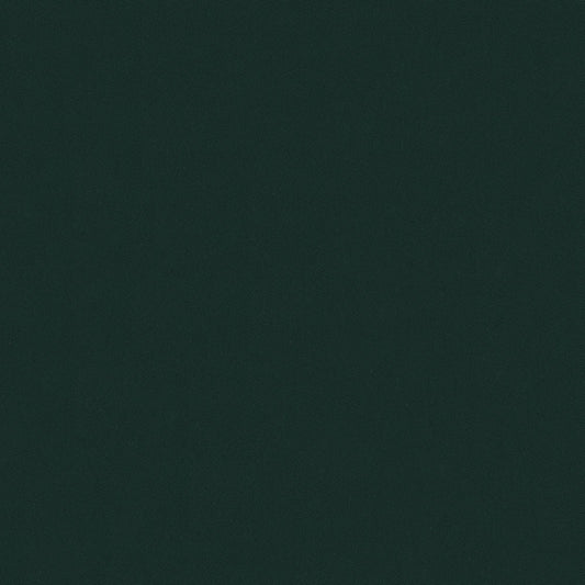 NICHOLASJOHN INC NJ-OASIS Green Solid   Fabric - NJ25-2455
