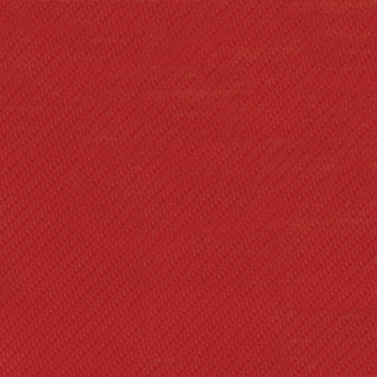 NICHOLASJOHN INC NJ-CABO FQ Red Novelty   Fabric - NJ25-513