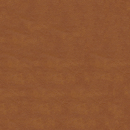NICHOLASJOHN INC NJ-MARIAH Rust Solid   Fabric - NJ25-2206
