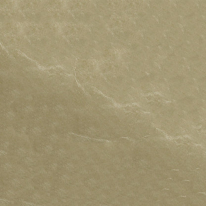 Beige tan leather texture with fine grain and soft sheen, versatile for upholstery or accessories.
