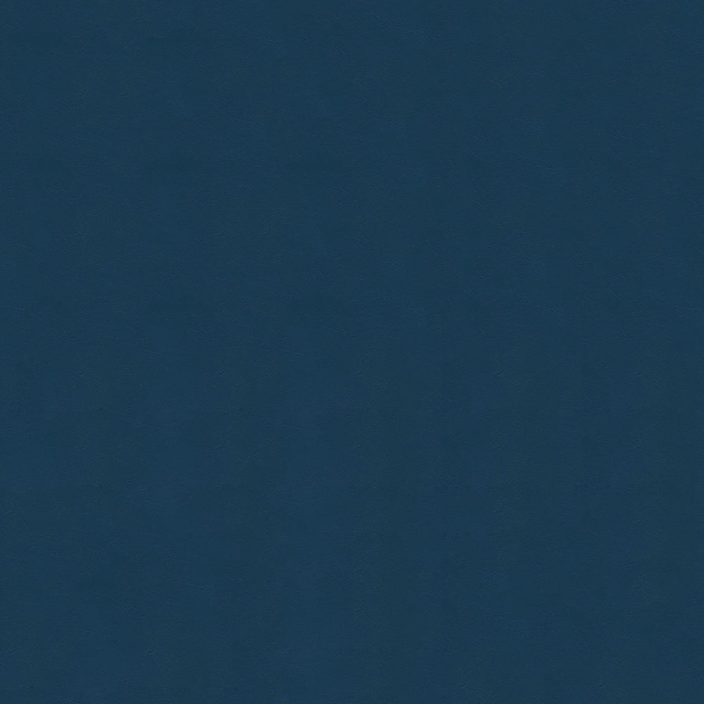 NICHOLASJOHN INC NJ-LOUIE Blue Solid   Fabric - NJ25-170