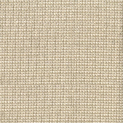 NICHOLASJOHN INC NJ-MARINA Ivory Solid,Texture   Fabric - NJ25-10