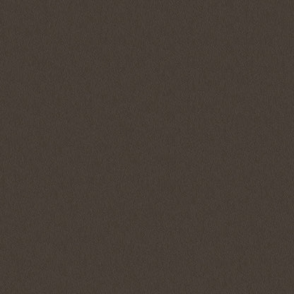 NICHOLASJOHN INC NJ-CAPO Brown Solid   Fabric - NJ25-489