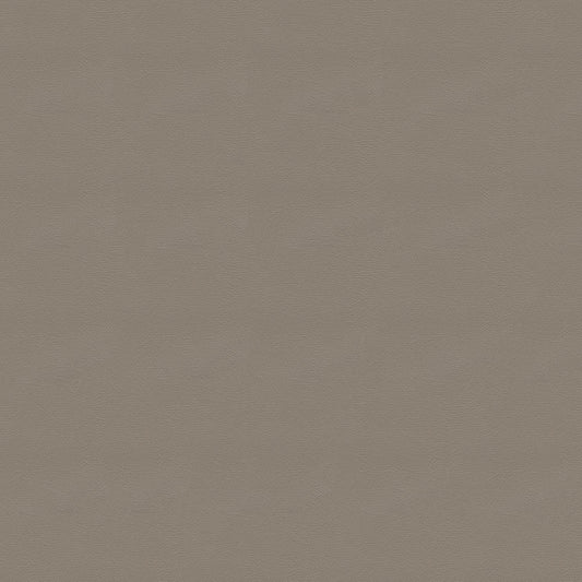 NICHOLASJOHN INC NJ-CARLO Gray Solid   Fabric - NJ25-2304