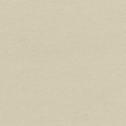 NICHOLASJOHN INC NJ-NOTION Sand Texture   Fabric - NJ25-1640