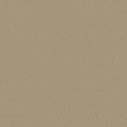 NICHOLASJOHN INC NJ-MARVIN Taupe Solid   Fabric - NJ25-3596
