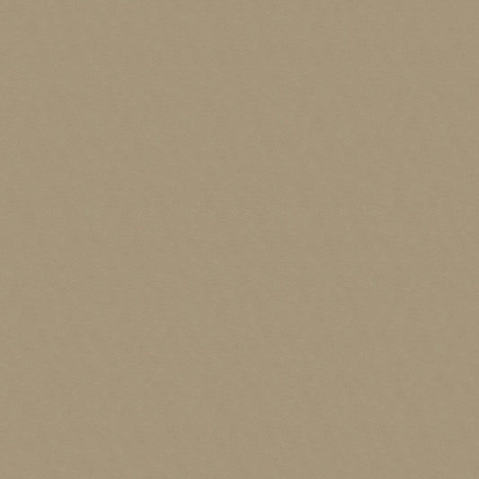 NICHOLASJOHN INC NJ-MARVIN Taupe Solid   Fabric - NJ25-3596