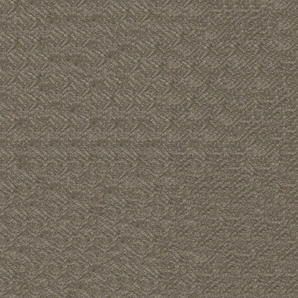 Dove solid fabric with a soft woven texture.
