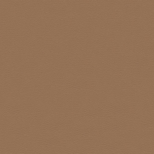 NICHOLASJOHN INC NJ-NUU Brown Solid   Fabric - NJ25-2438