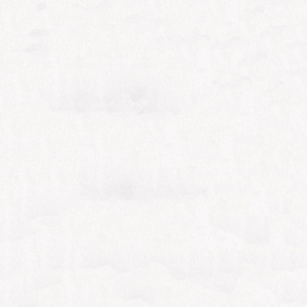 NICHOLASJOHN INC NJ-REFLES White    Fabric - NJ25-2756