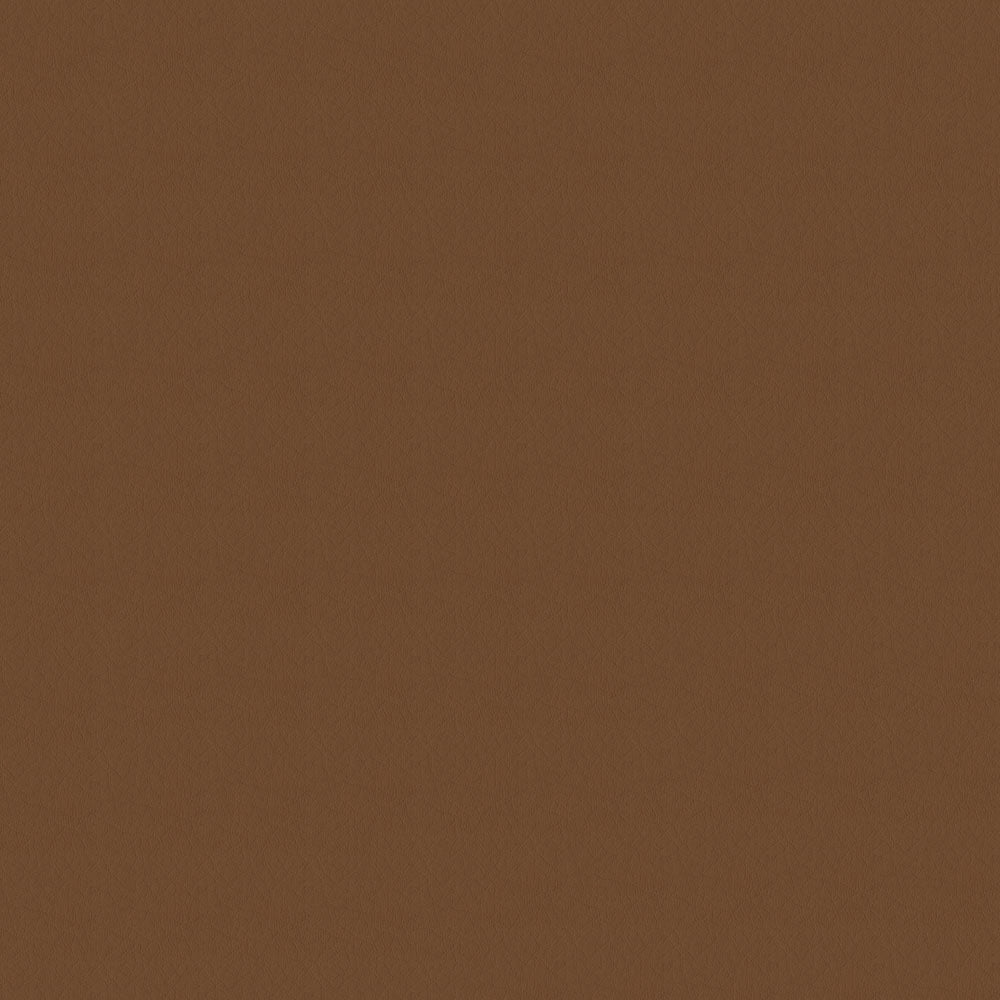 NICHOLASJOHN INC NJ-SHH Brown Solid   Fabric - NJ25-3684