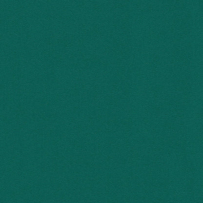 NICHOLASJOHN INC NJ-TOP9 Green Solid   Fabric - NJ25-3384
