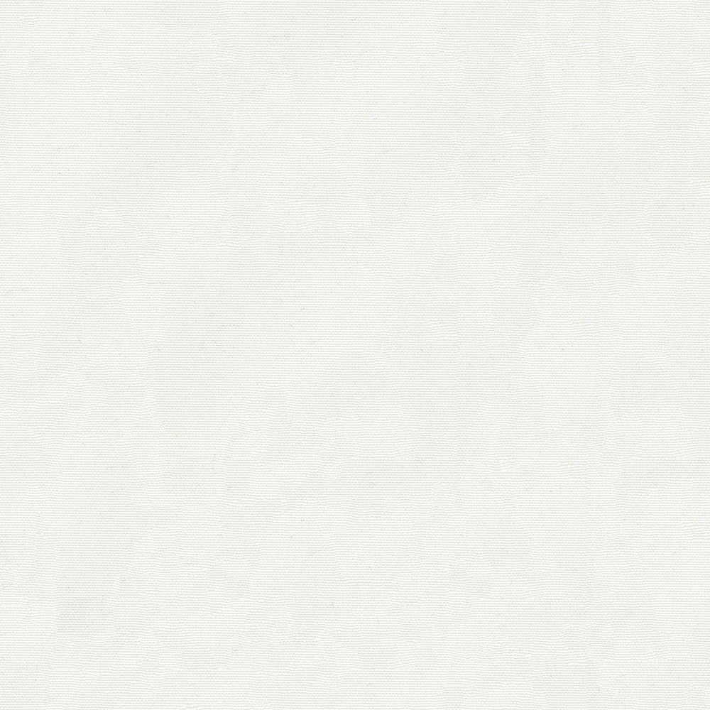 NICHOLASJOHN INC NJ-OASIS White Solid   Fabric - NJ25-2465