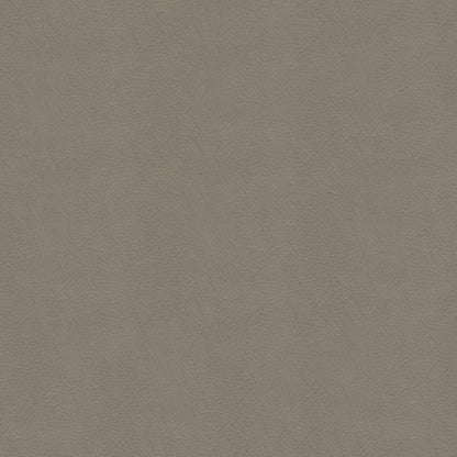 NICHOLASJOHN INC NJ-SHH Taupe Solid   Fabric - NJ25-3695