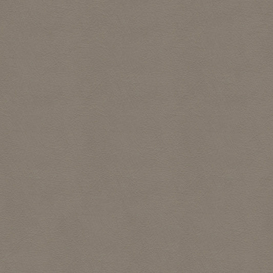 NICHOLASJOHN INC NJ-SHH Taupe Solid   Fabric - NJ25-3695