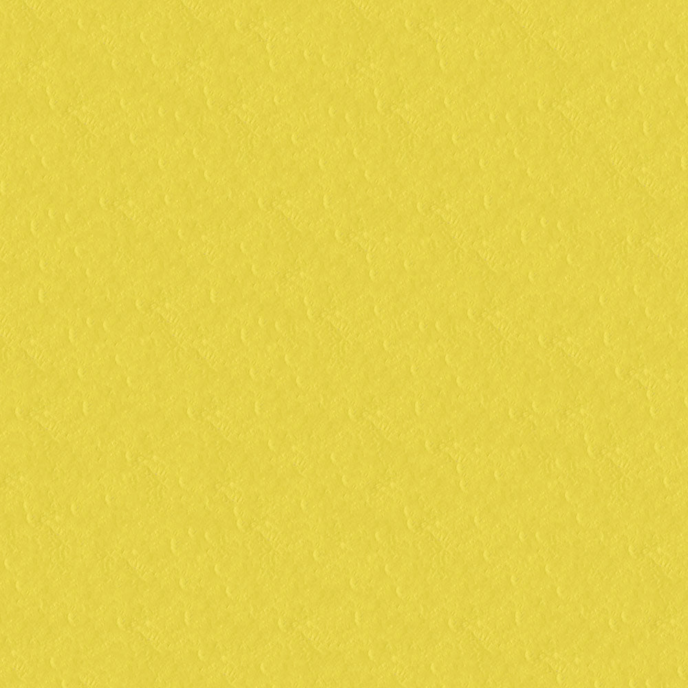 NICHOLASJOHN INC NJ-CAPO Yellow Solid   Fabric - NJ25-469