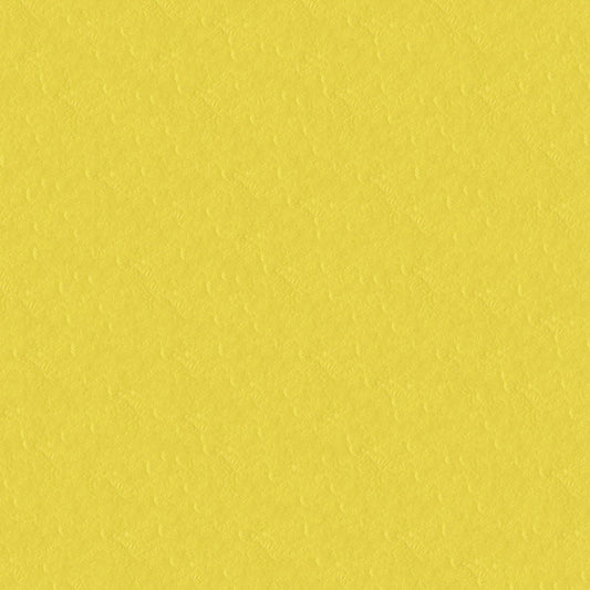 NICHOLASJOHN INC NJ-CAPO Yellow Solid   Fabric - NJ25-469