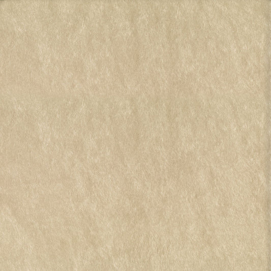 NICHOLASJOHN INC NJ-RIDE Oyster Solid   Fabric - NJ25-549