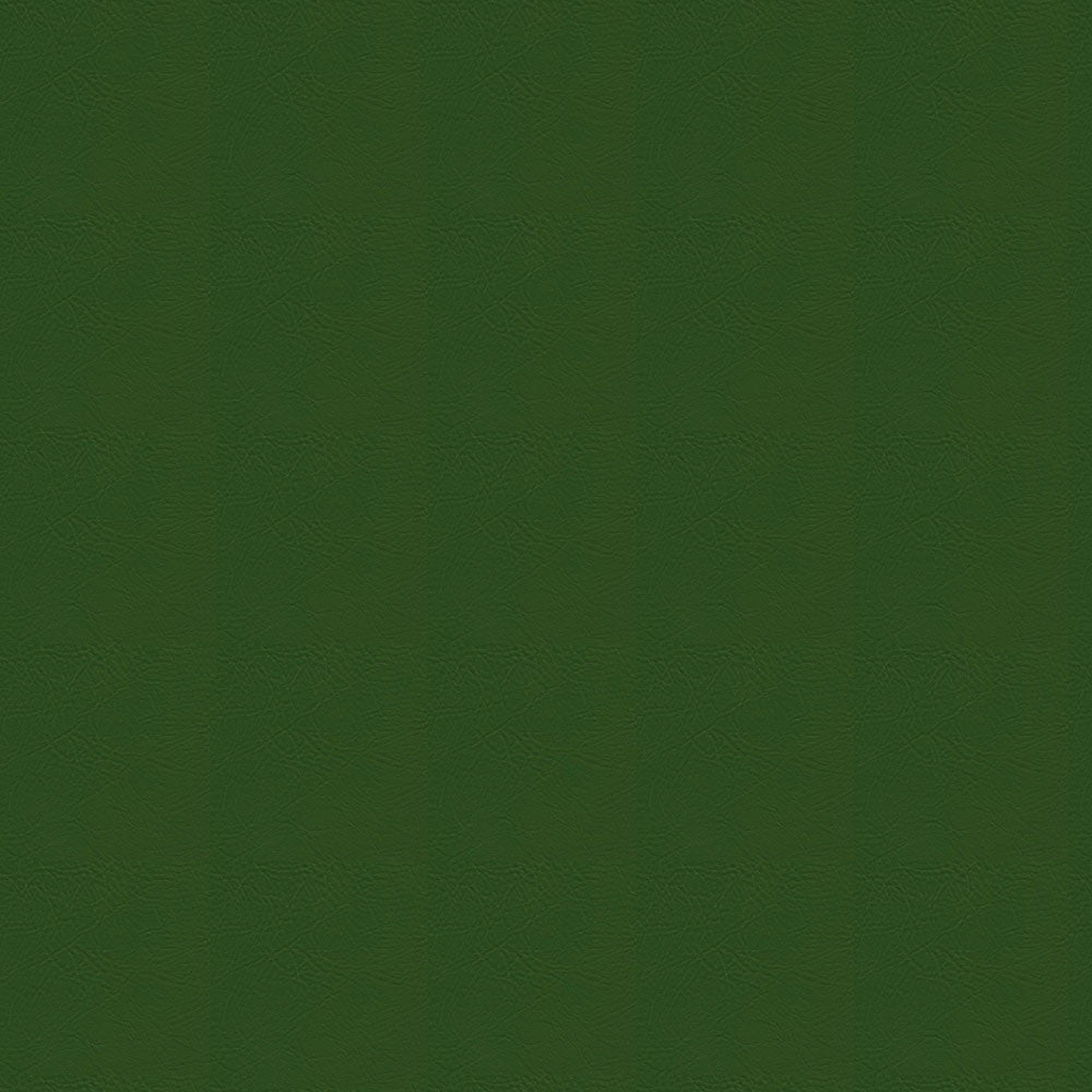 NICHOLASJOHN INC NJ-RADE Green Solid   Fabric - NJ25-3463