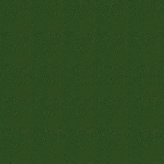 NICHOLASJOHN INC NJ-RADE Green Solid   Fabric - NJ25-3463