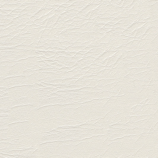 NICHOLASJOHN INC NJ-AREES White Solid   Fabric - NJ25-137