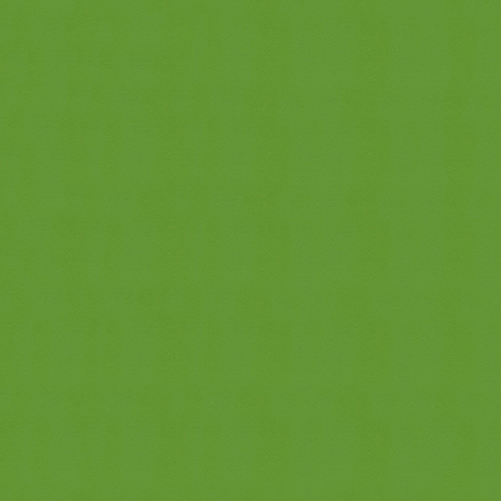 NICHOLASJOHN INC NJ-WINDOO Green Solid   Fabric - NJ25-3737