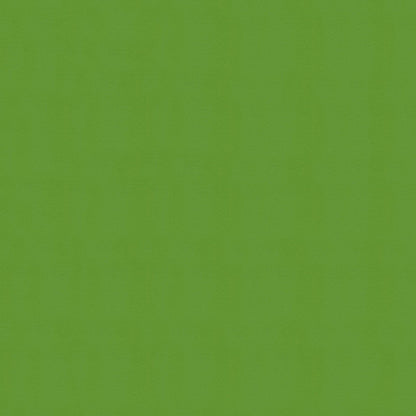 NICHOLASJOHN INC NJ-WINDOO Green Solid   Fabric - NJ25-3737