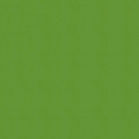 NICHOLASJOHN INC NJ-WINDOO Green Solid   Fabric - NJ25-3737