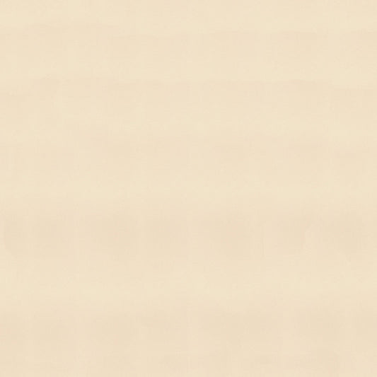 NICHOLASJOHN INC NJ-MARY Beige Solid   Fabric - NJ25-2089