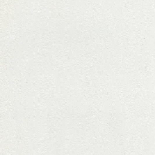 NICHOLASJOHN INC NJ-SENTRY White Cap Solid,Texture   Fabric - NJ25-585