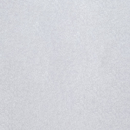 NICHOLASJOHN INC NJ-EARL Silver Solid   Fabric - NJ25-164