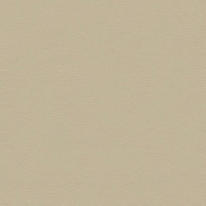 NICHOLASJOHN INC NJ-CHAM Gray Solid   Fabric - NJ25-606