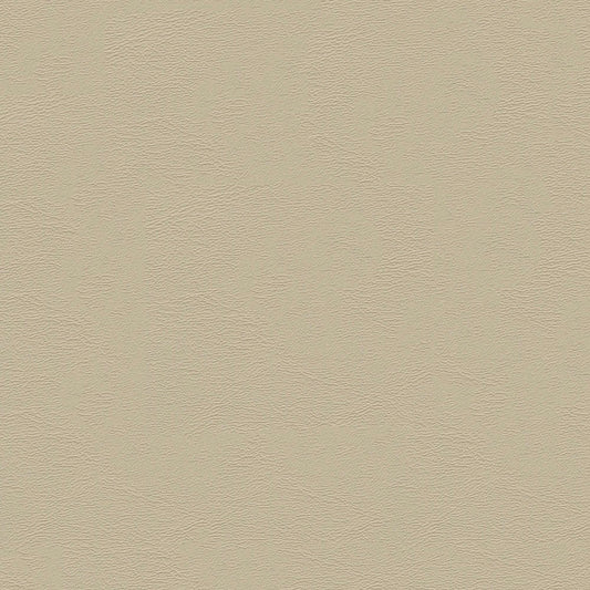 NICHOLASJOHN INC NJ-CHAM Gray Solid   Fabric - NJ25-606