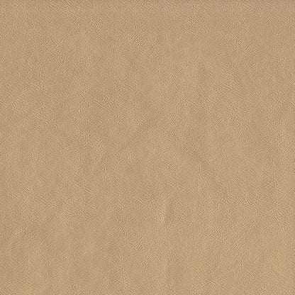 NICHOLASJOHN INC NJ-SENTRY Champagne Solid,Texture   Fabric - NJ25-565