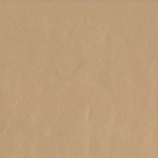 NICHOLASJOHN INC NJ-SENTRY Champagne Solid,Texture   Fabric - NJ25-565