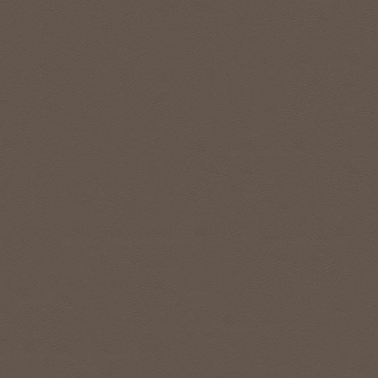 NICHOLASJOHN INC NJ-CARLO Brown Solid   Fabric - NJ25-2300