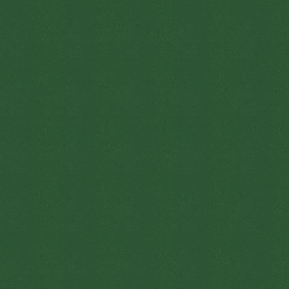 NICHOLASJOHN INC NJ-WINDOO Green Solid   Fabric - NJ25-3742